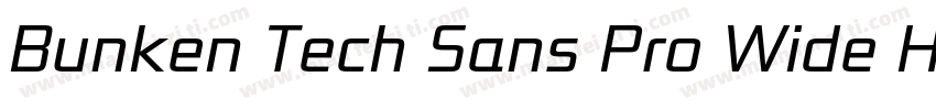 Bunken Tech Sans Pro Wide Heav Reg字体转换